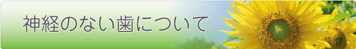 神経の無い歯について