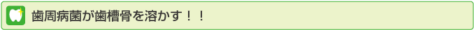 歯周病菌が歯槽骨を溶かす！！