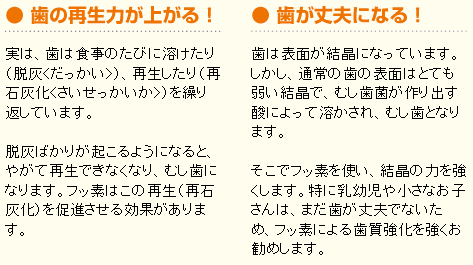 フッ素の２つの効果